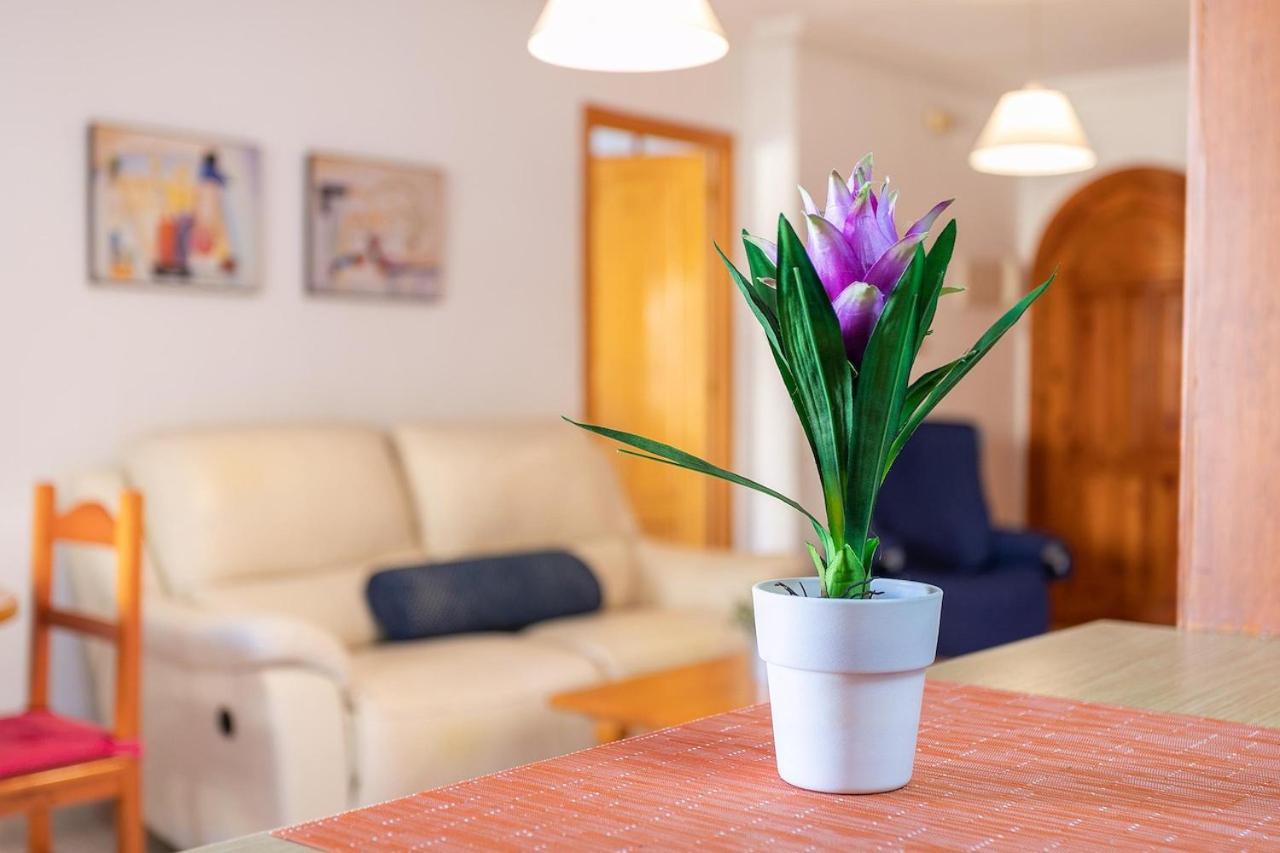 Apartamento Ideal Verano Con Piscina E Invierno Con Cocina De Lena